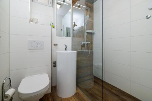 a bathroom with a toilet and a shower at Apartments Maja in Selce