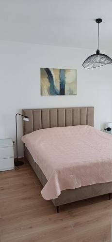 Home Padovan