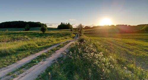 a dirt road in a field at sunset at Place for tent - Miejsce na namiot u stóp natury in Kuty