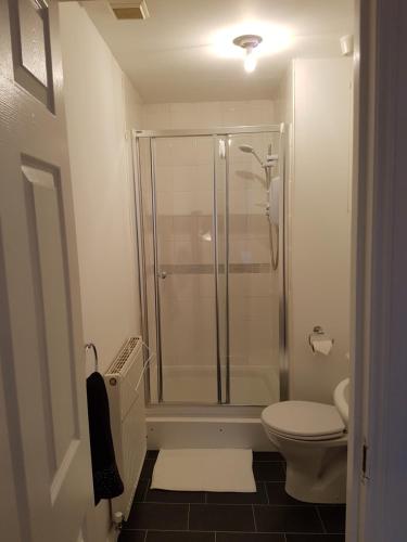 a bathroom with a shower and a toilet at Bathgate Contractor and Business Apartment in Bathgate