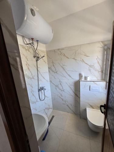a bathroom with a toilet and a sink at Villa BASHLLARI A&B appartamenti di fronte al mare in Vlorë