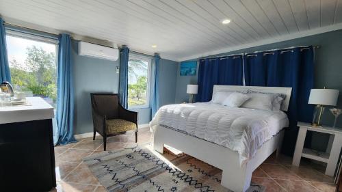 a bedroom with blue walls and a bed and a chair at Andros Waterside Retreat in Deep Creek