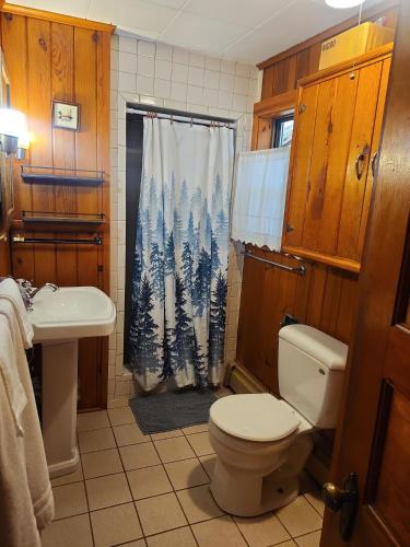 a bathroom with a toilet and a shower curtain at Black Hawk in Mercer