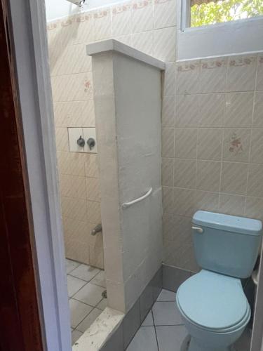a bathroom with a blue toilet and a shower at Cozy cabin by the sea in Cahuita