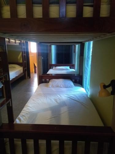 a bedroom with two bunk beds in a room at Cataleya BDT in Bocas Town