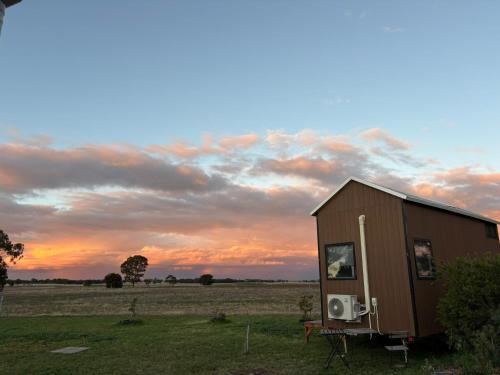a smallshed in a field with a sunset in the background at Loft Tiny House by Tiny Away in Banyena