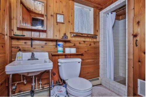 a bathroom with a toilet and a sink at Pine Haven in Mercer
