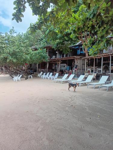 a dog walking on a beach with lounge chairs at Changbar Bungalow in Ban Ao Sapparot