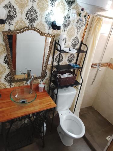 a bathroom with a toilet and a sink and a mirror at Gather in Balneario Argentino