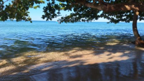 a view of a body of water with a tree at Changbar Bungalow in Ban Ao Sapparot
