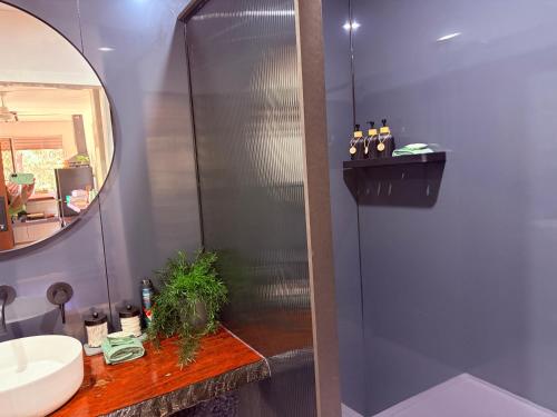 a bathroom with a shower and a sink and a mirror at Hayden's Place in Wamuran