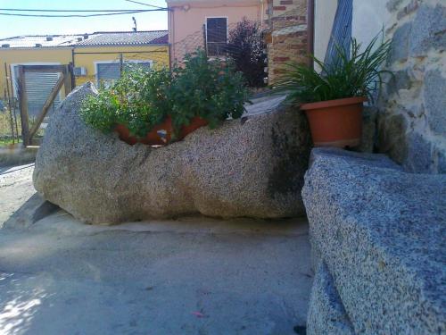 a stone wall with two potted plants in it at Domos Antigas in Bottidda