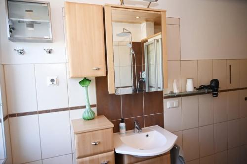 ein Badezimmer mit Waschbecken und Spiegel in der Unterkunft Apartment Sofia in Barnbach