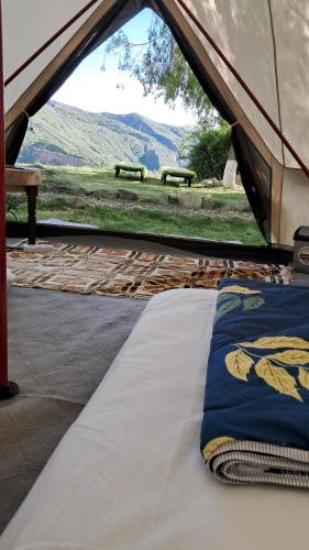 a bed in a tent with a view of a field at GeghardCamping in Goghtʼ