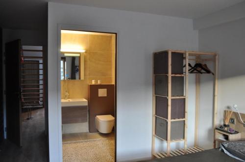 a bathroom with a sink and a toilet and a mirror at Appartement12.com in Charleville-Mézières