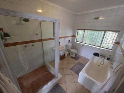 a bathroom with a shower and a sink and a toilet at Aqua Terra Guest House in Lydenburg