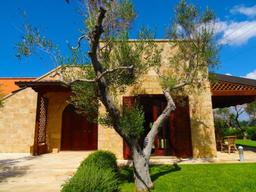 a house with a tree in front of it at Biancolivo Gallipoli in Salento in Gallipoli