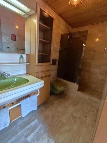 a bathroom with a green sink and a shower at Chalet Glauninger in Ramsau am Dachstein