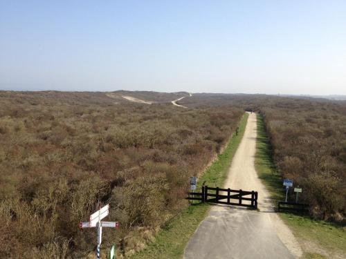 a dirt road in the middle of a field at Fletcher Hotel-Restaurant Duinzicht in Ouddorp