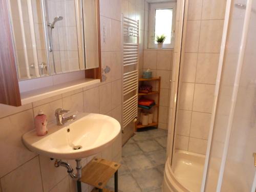 a bathroom with a sink and a shower at Ferienwohnung zum Riesenlöffel in Arnstadt