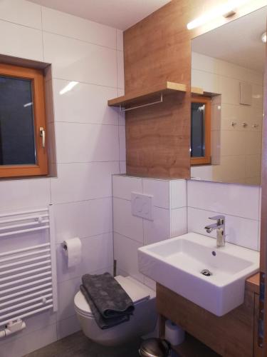 a bathroom with a sink and a toilet and a mirror at Bungalow Müller in Brand
