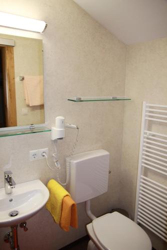 a bathroom with a white toilet and a sink at Landhaus Hubert Fiegl in Sölden