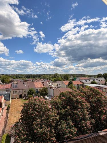 a view of a city with houses and trees at Apartament Ryki in Ryki