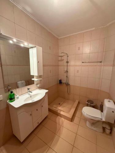 a bathroom with a sink and a toilet at Aura Seaside Apartments in Petra