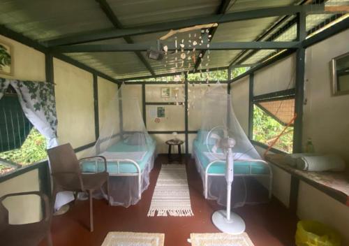 a small room with a bed and a chair in it at One Ocean Nature Conservation Centre in Kota Belud