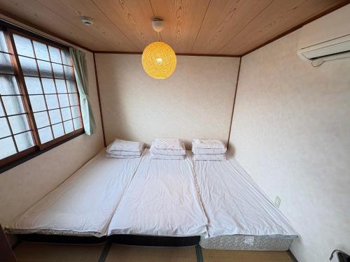 hostel sunflower201