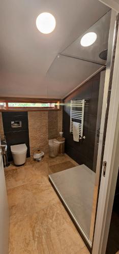 a large bathroom with a toilet and a sink at Villa Bessa Nature & Spa in Fafe