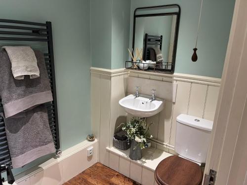 a bathroom with a sink and a toilet and a mirror at Heydon Private Guest Suite Self Check-in & Parking in Heydon