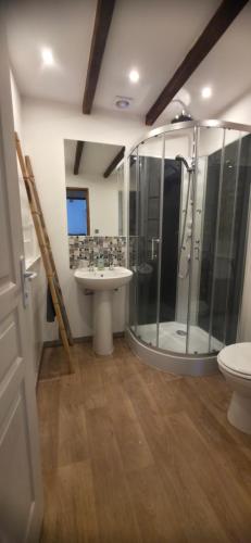 a bathroom with a shower and a sink at Le Quereau in Saint-Macoux