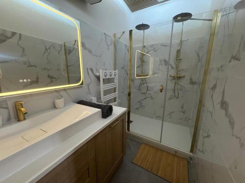 a bathroom with a shower and a sink and a mirror at Le Régent - Perpignan city center in Perpignan