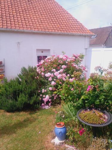a yard with pink flowers and a house at La Détente in Rinxent