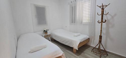 two beds in a room with white walls and windows at בית בכפר in Kefar Pines