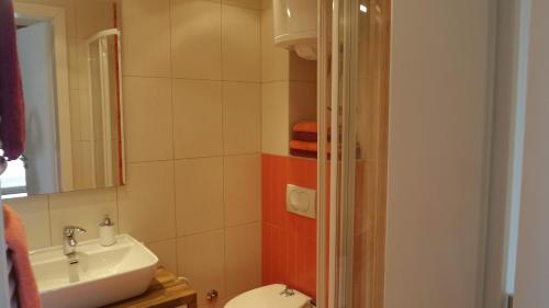 a bathroom with a sink and a toilet at Apartman Ena in Vlasic