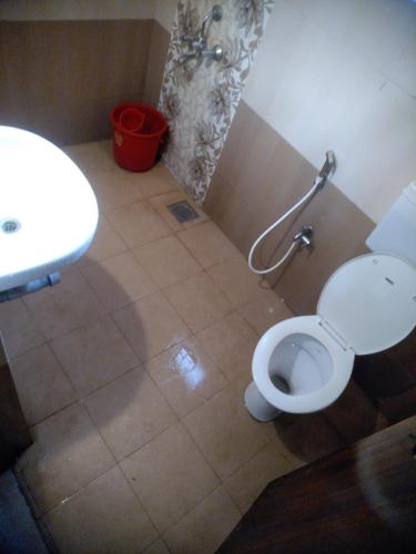 a bathroom with a toilet and a sink at Casa Viora in Calangute