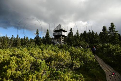 a person walking down a wooden path with a tower at Apartment Anja in Zreče