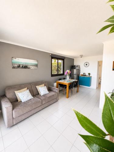 Splendid Appartment in Cannes with Private Pool and Sea View