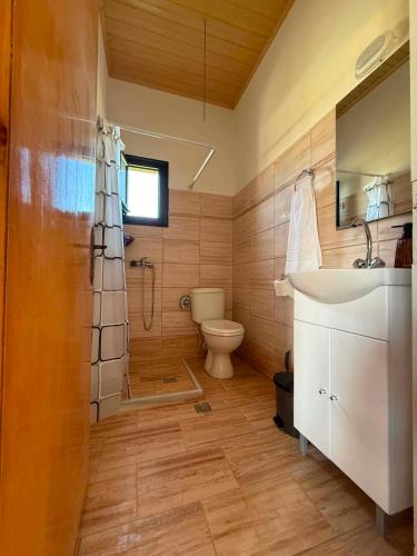 a bathroom with a toilet and a sink and a shower at Dimosthenis Apartments in Agios Georgios