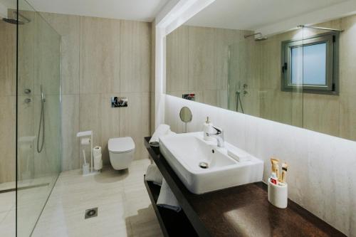 a bathroom with a sink and a shower and a toilet at Breathtaking view guesthouse in Psalidi