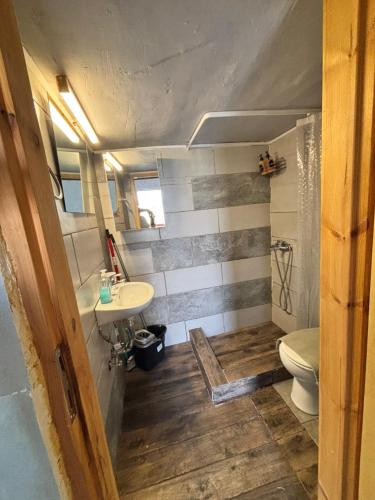 a bathroom with a toilet and a sink at Βαχος rooms 3 in Areopoli