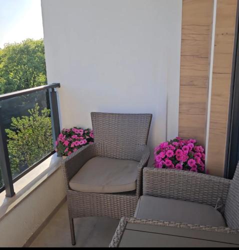 a balcony with two chairs and flowers and a window at Elena Residence 15min from Belgrade in Pančevo