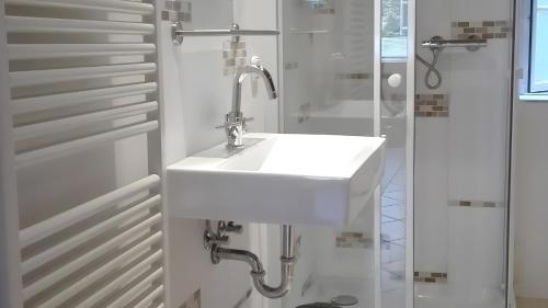 a bathroom with a white sink and a shower at Birkenhof in Achtrup