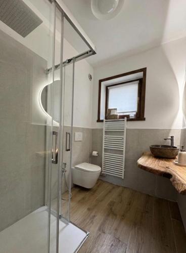 a bathroom with a glass shower and a sink at Appartamento alla Lupa in Vetriola