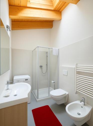 a bathroom with a shower and a toilet and a sink at ValtellinaSuite in Villa di Tirano