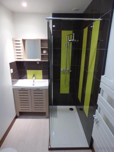 une salle de bain avec une douche en verre et un lavabo dans l'établissement Domaine Anguyales, à Montmaur