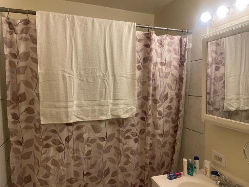 a bathroom with a shower curtain and a sink at Cozy Anchorage retreat in Anchorage