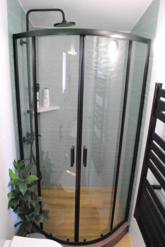 a glass shower in a room with a plant at Sofita Rooms in Nafplio